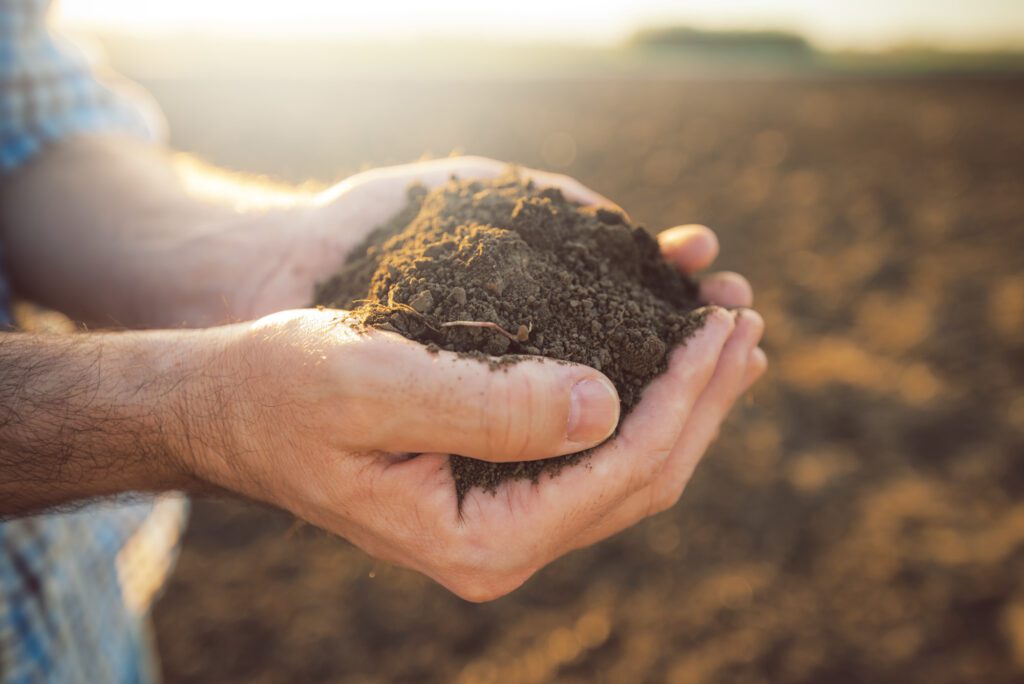 Get Soil Tested in Maryland