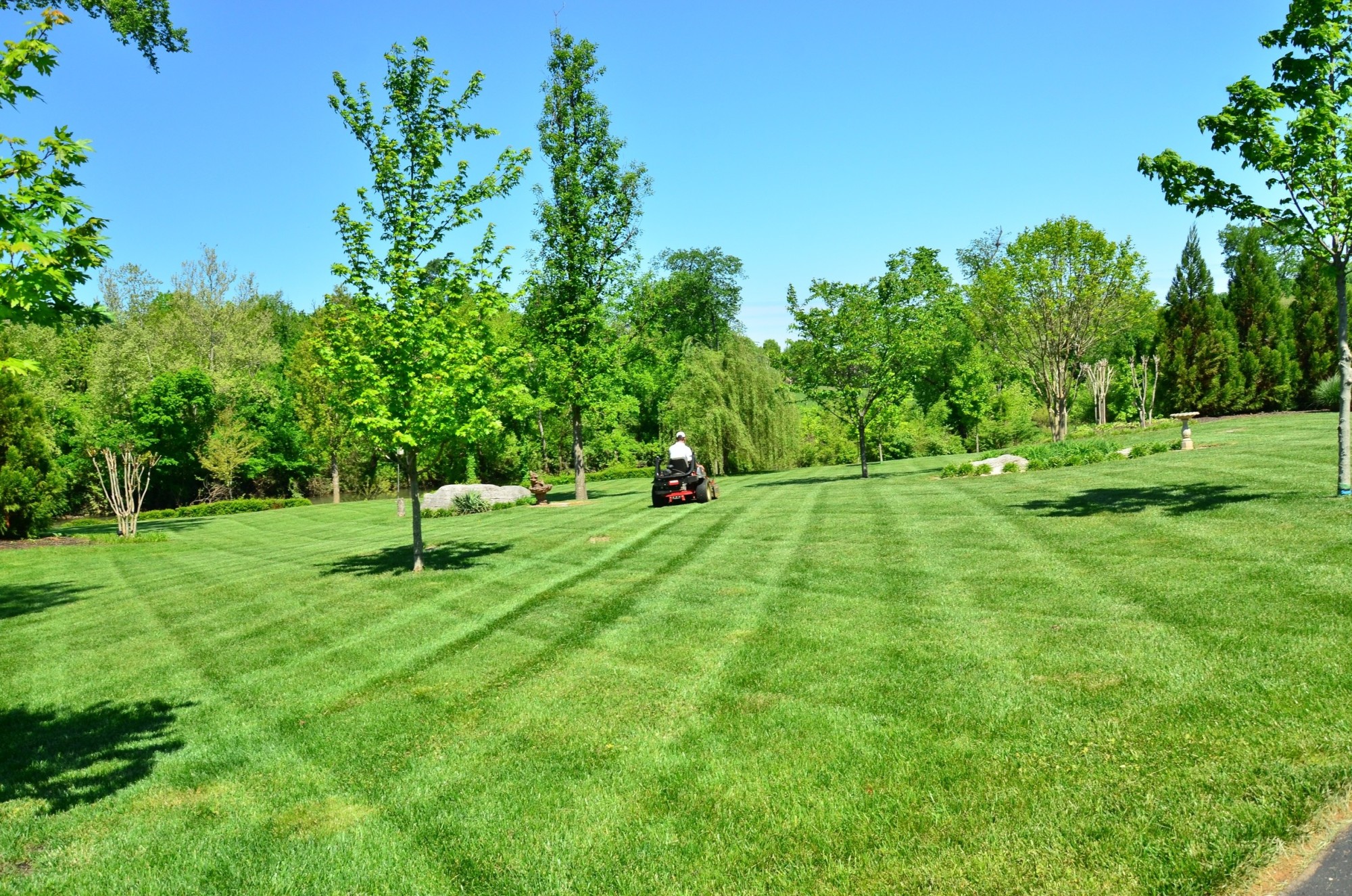 Summer Lawn Care Tips: The Best Lawn Watering Schedule for Summer