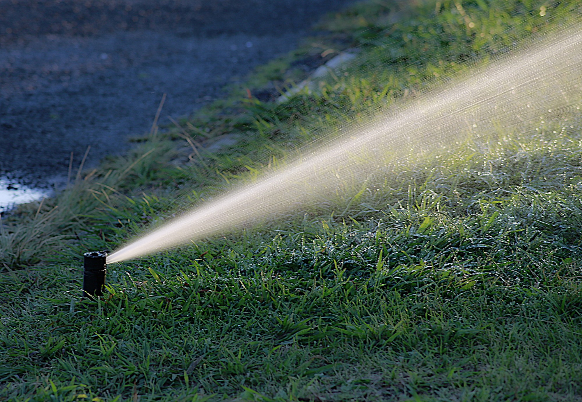 7 Big Benefits of a Lawn Irrigation System