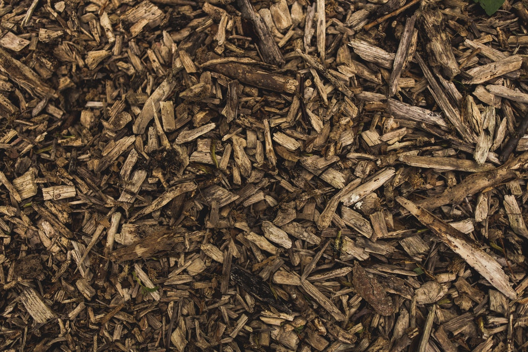 Everything You Need to Know About Mulch