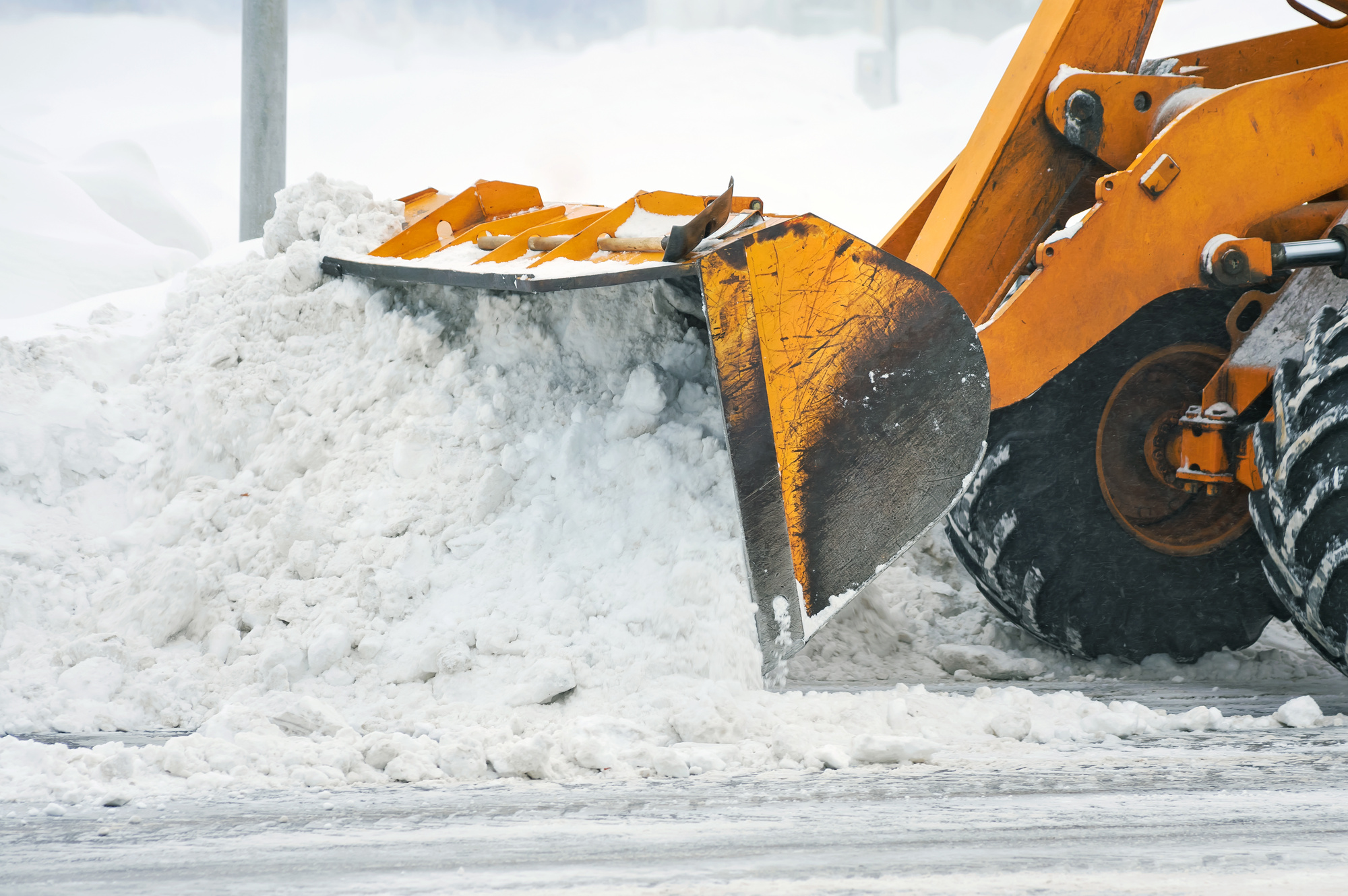 When to Request Snow Removal Service From Your Local Landscaper
