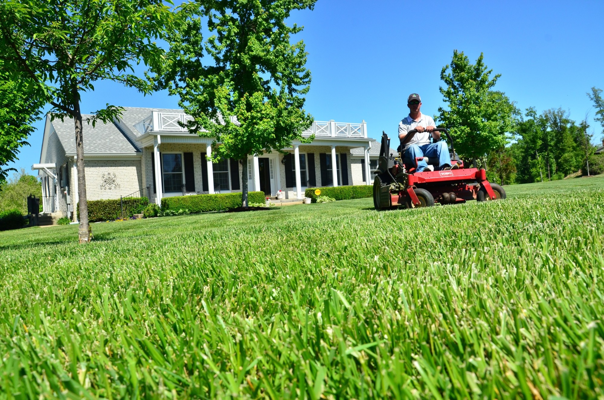How to Get a Good-Looking Lawn This Spring