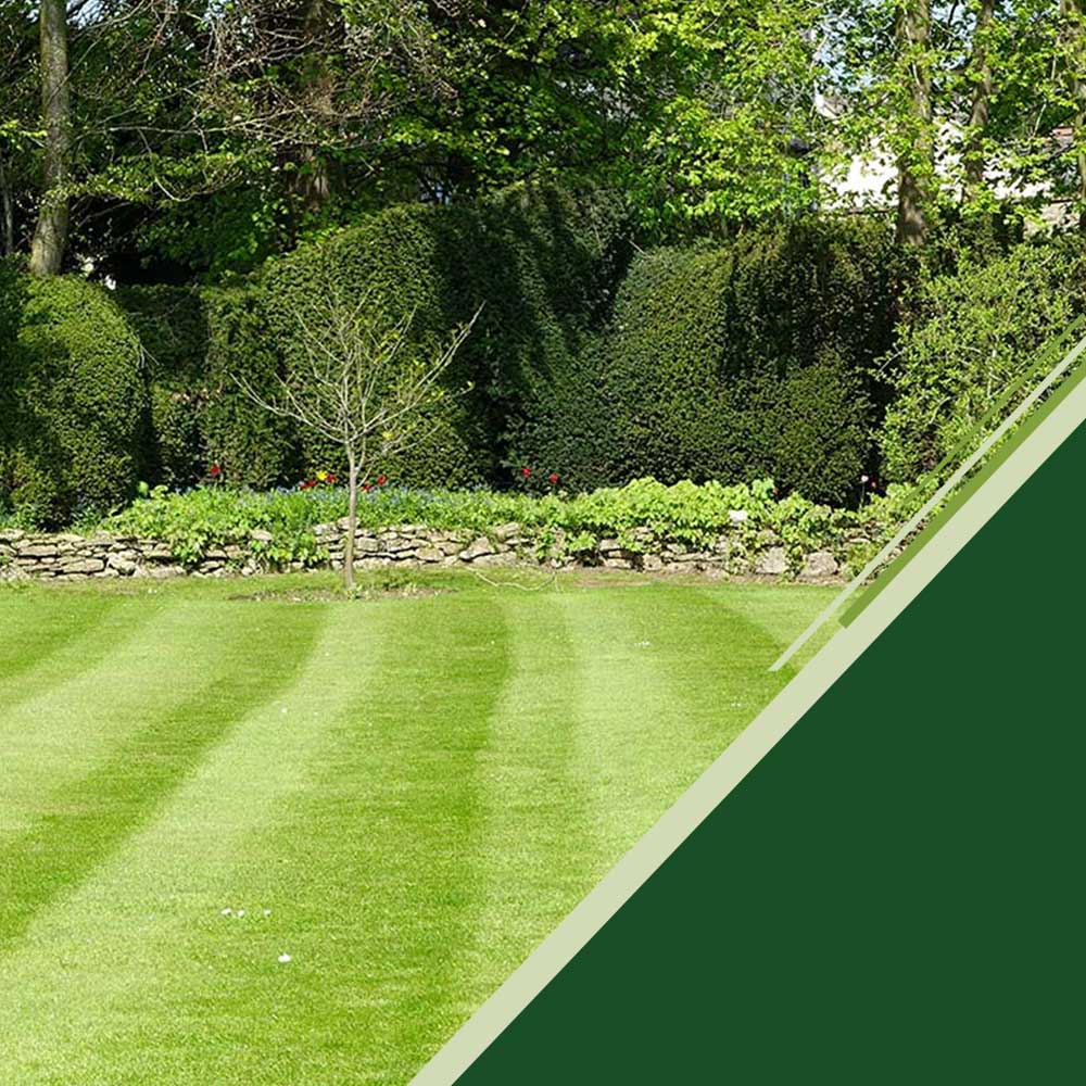 a yard is professionally cut. bushes and trees frame the yard behind a short retaining wall.
