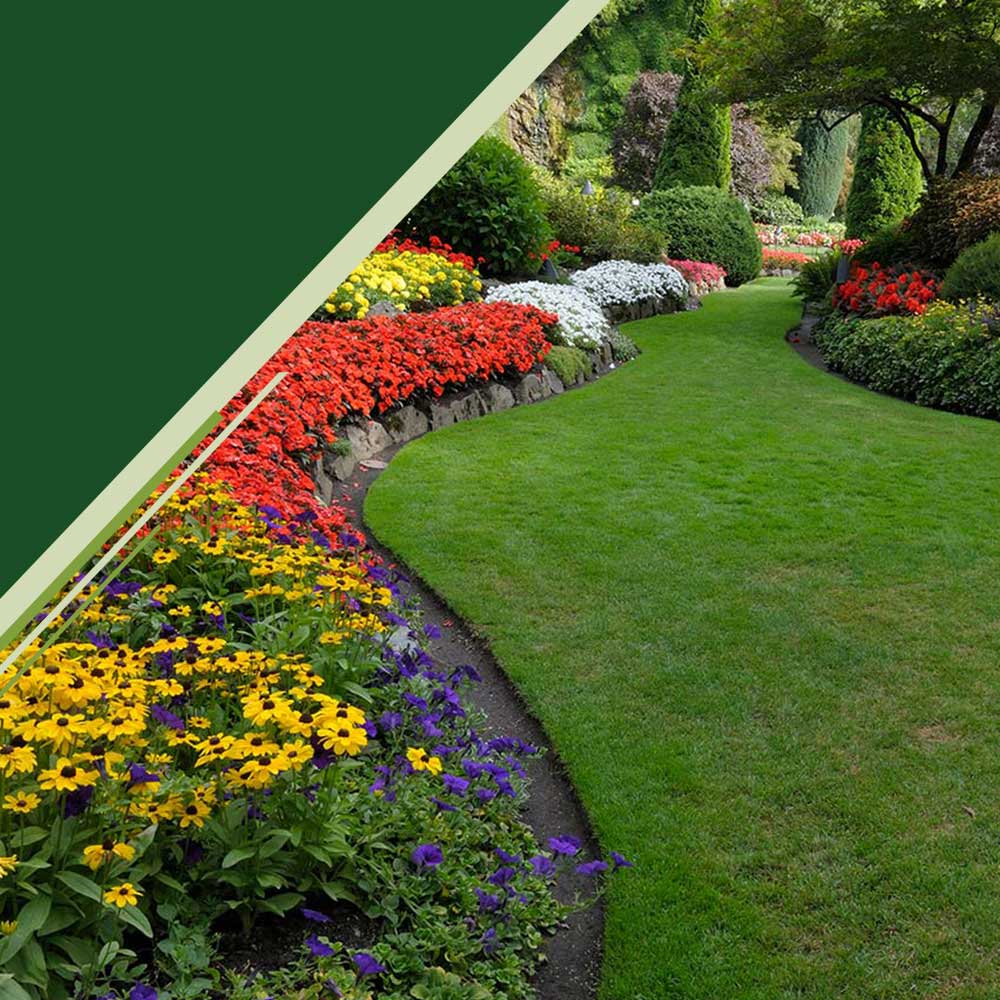 colorful raised flower beds and shrubs shape curvy grass patches in yard