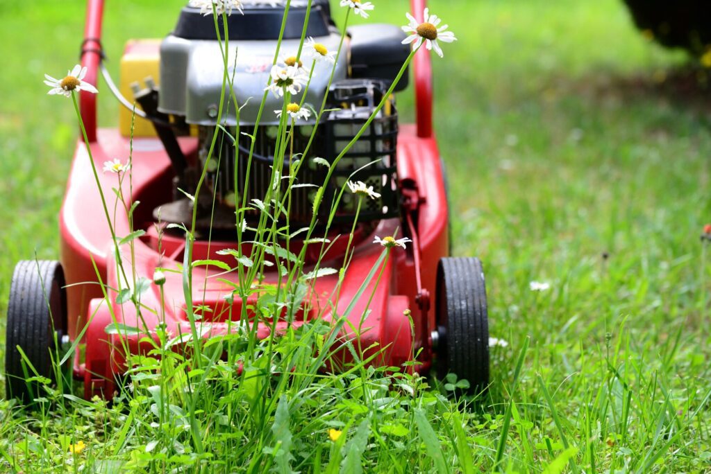 residential and commercial lawn care
