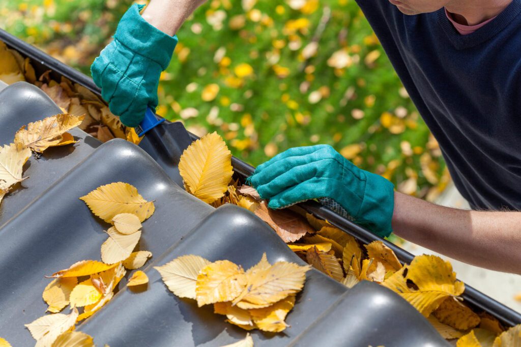 gutter cleaning business