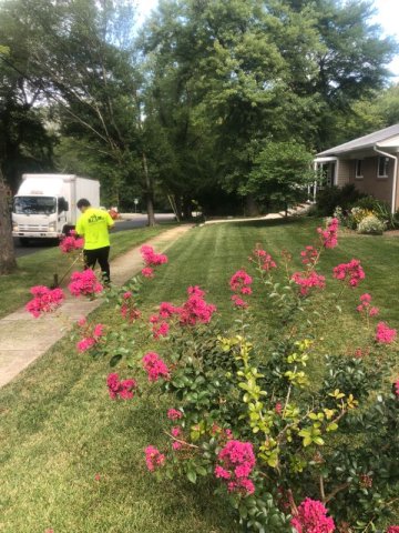 Local Mowing Company in Kensington