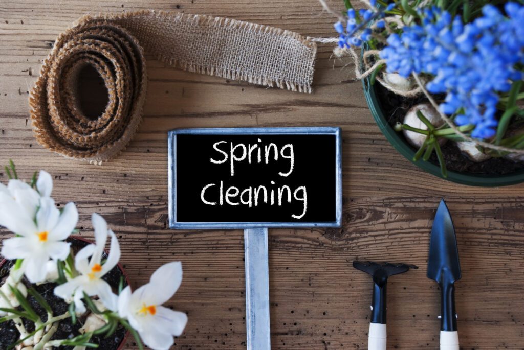 Spring Clean Ups