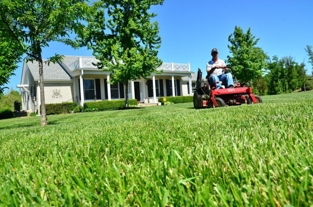 spring lawn care